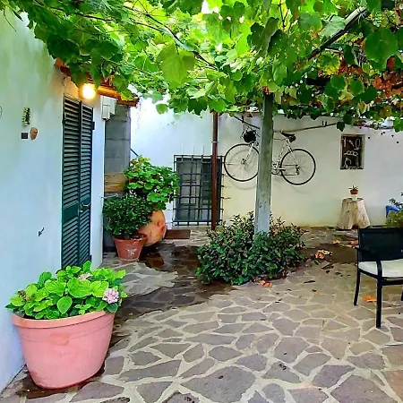 5 Apartment